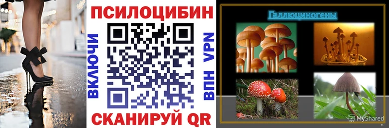закладки  MEGA рабочий сайт  Галлюциногенные грибы Psilocybine cubensis  Лесосибирск 